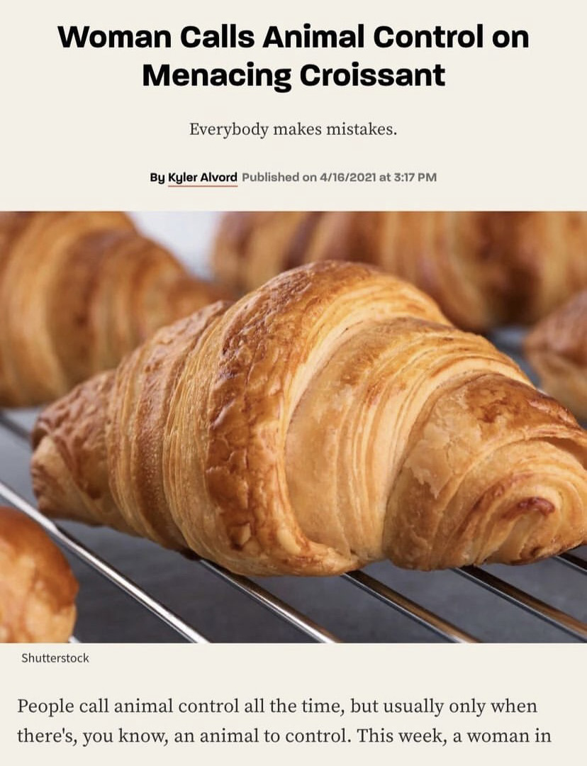 croissant with news headline above that reads Woman Calls Animal Control on Menacing Croissant
