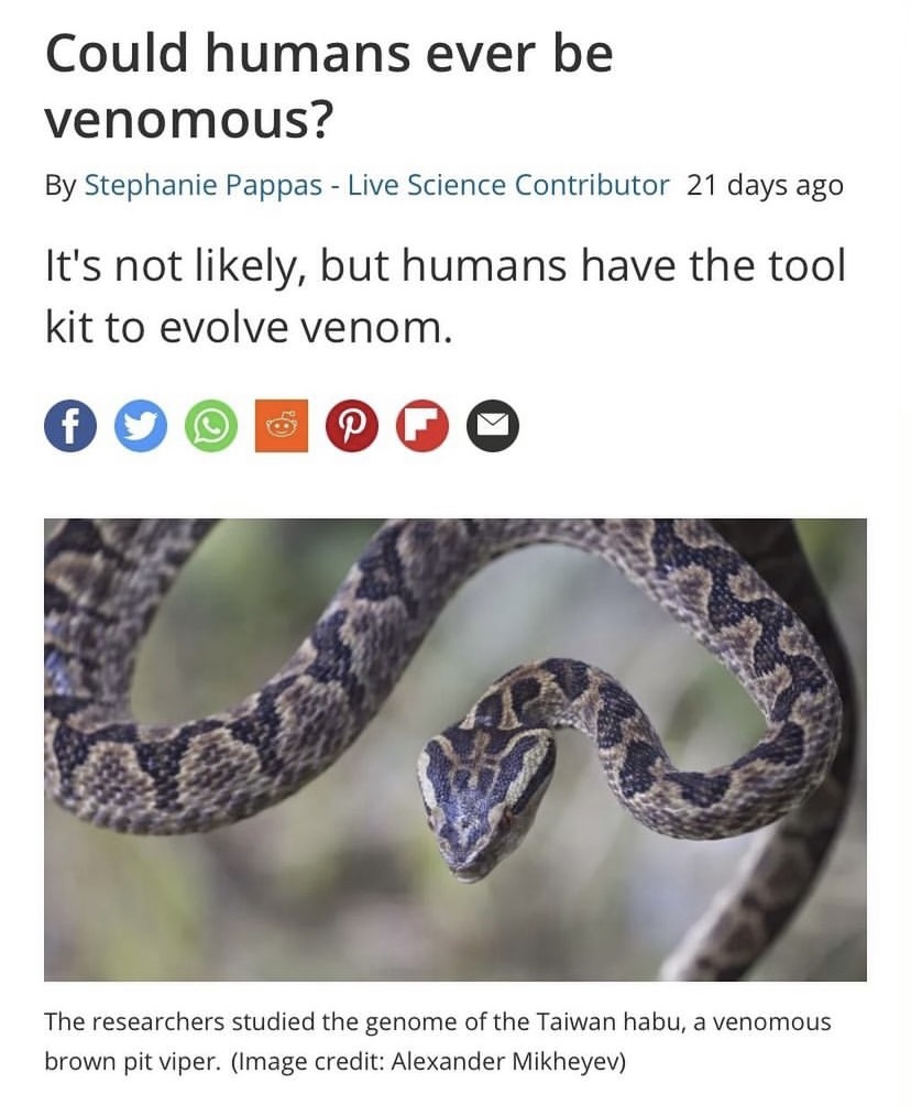 a close up of a snake with a headline above that reads "Could humans ever be venemous"