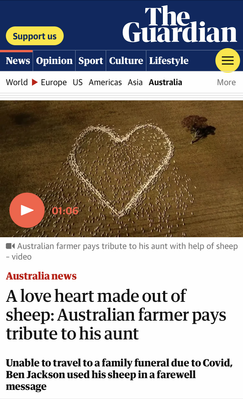 A flock of sheep in the shape of a heart above a headline that reads "A love heart made out of sheep: Australian farmer pays tribute to his aunt"