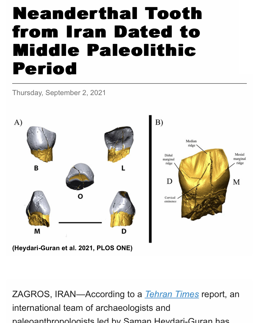 Diagram of teeth below a headline that reads 'Neanderthal Tooth from Iran Dated to Middle Paleolithic Period'