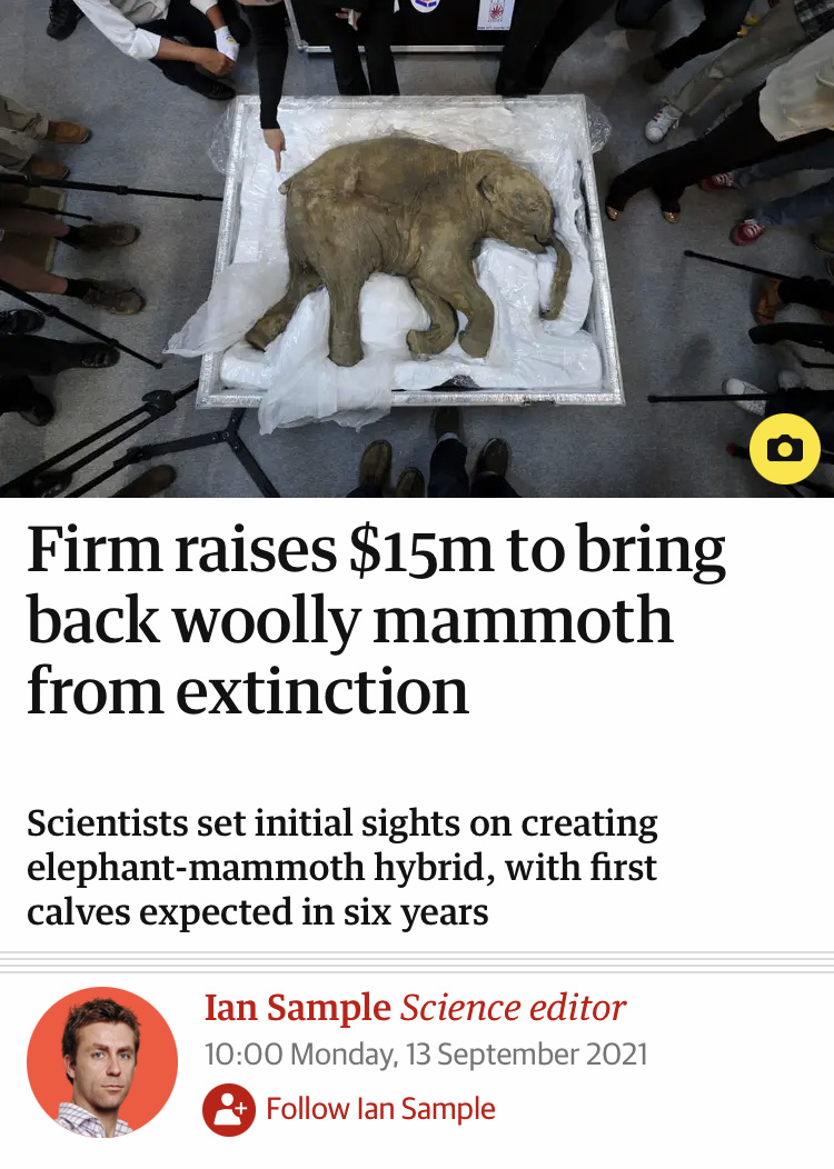 Mummified body of a small wooly mammoth on a table above a headline that reads "Firm raises $15m to bring back woolly mammoth from extinction"