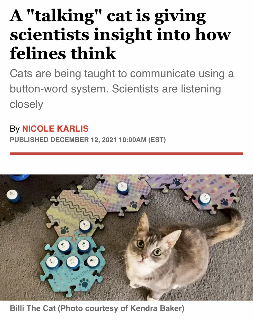 A cat next to toys looking up at the camera below a headline that reads "A ‘talking’ cat is giving scientists insight into how felines think"