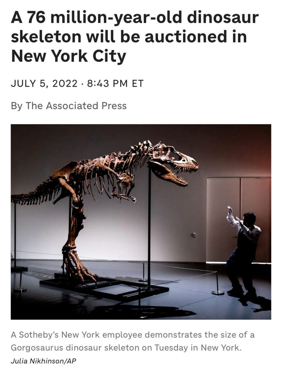 a dinosaur skeleton with an auction house worker beneath a headline that reads "A 76 million-year-old dinosaur skeleton will be auctioned in New York City"