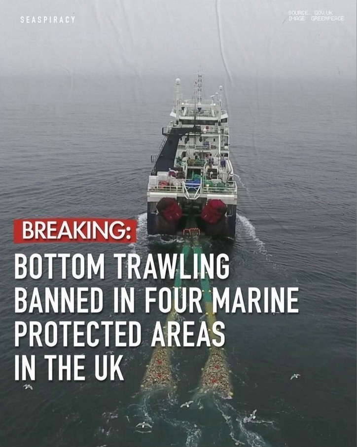 a trawling boat in water above a headline that reads "Bottom trawling banned in four marine protected areas in the UK"