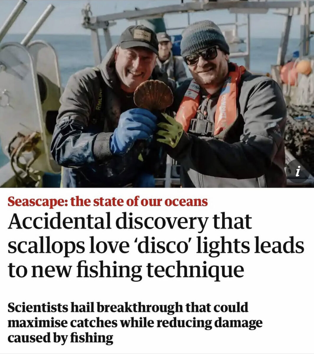 two fishermen proudly hold up a scallop while on board a fishing boat above a headline that reads "Accidental discovery that scallops love ‘disco’ lights leads to new fishing technique"