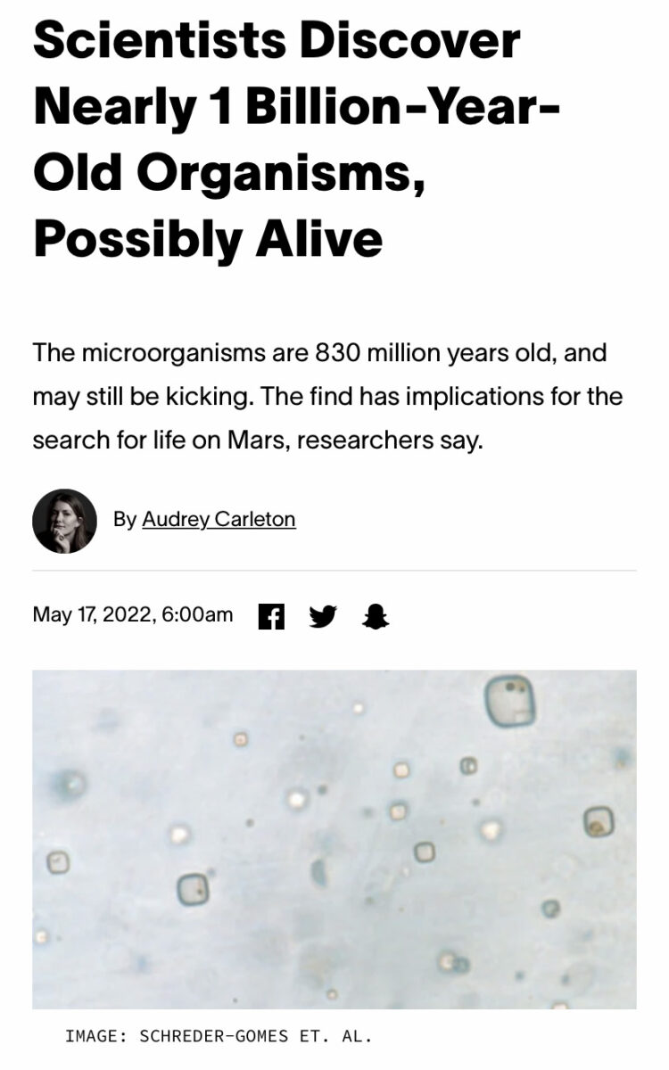 microscoppic organisms on a light grey background beneath a headline that reads "Scientists Discover Nearly 1 Billion-Year-Old Organisms, Possibly Alive"