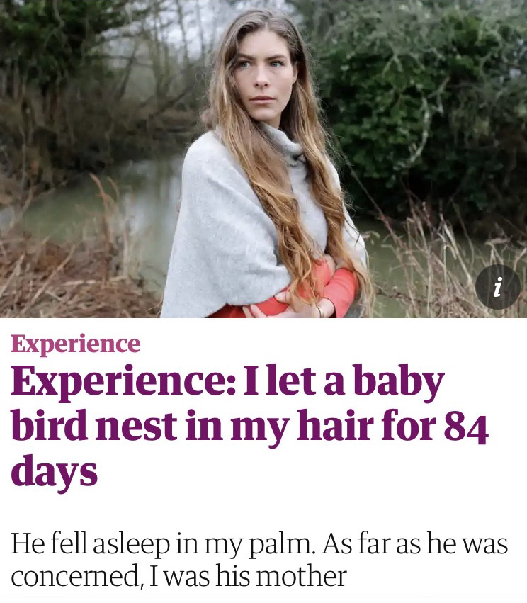 woman with long hair looking at the camera above a headline that reads "Experience: I let a baby bird nest in my hair for 84 days"