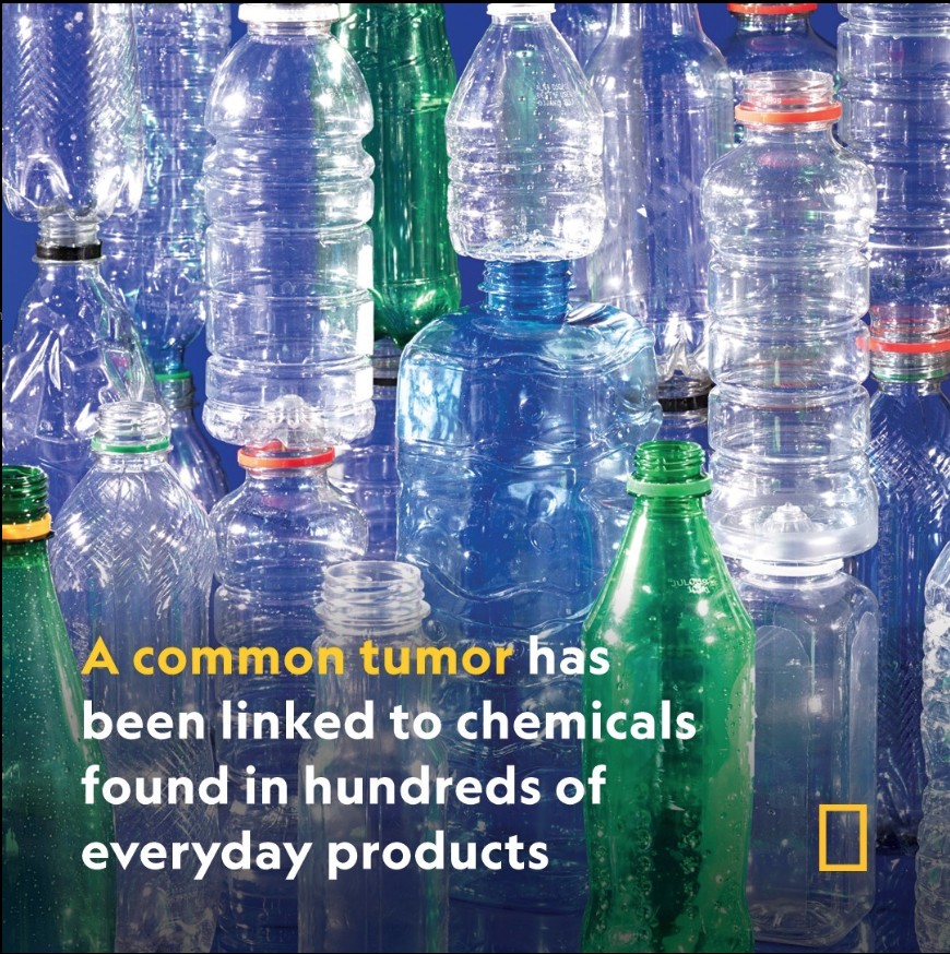 collage of empty plastic bottle with a headline in front that reads "A common tumor has been linked to chemicals found in hundreds of everyday products"