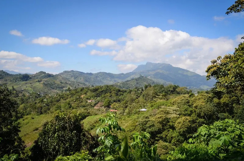 a lush mountainous landscape resembling the tropical highlands of Chiapas, Mexico.